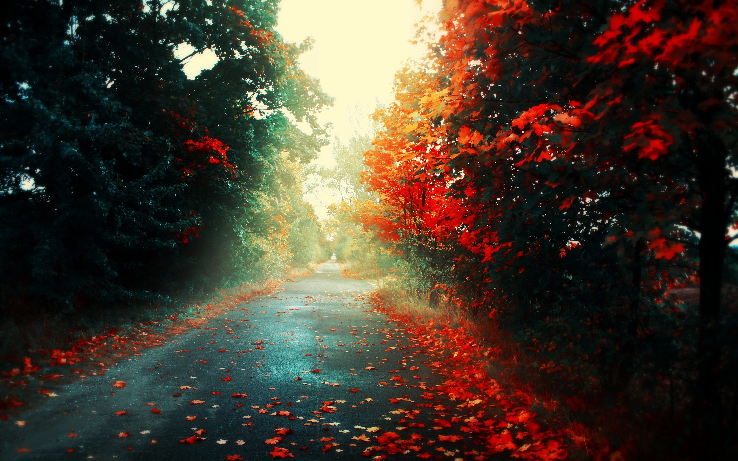 осень осень природа